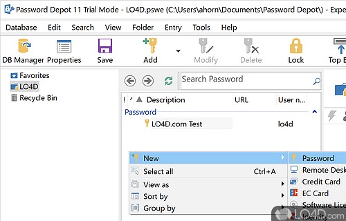 Password Depot Full Version