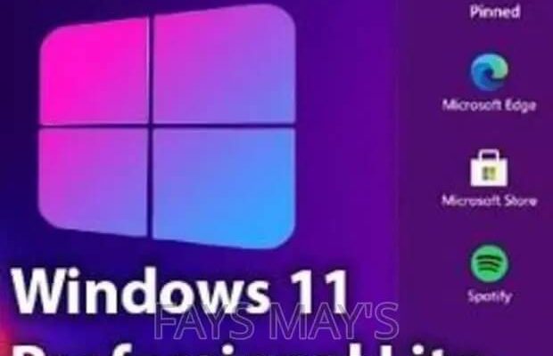Download Windows 11 Lite Pro 22H2 Full Version