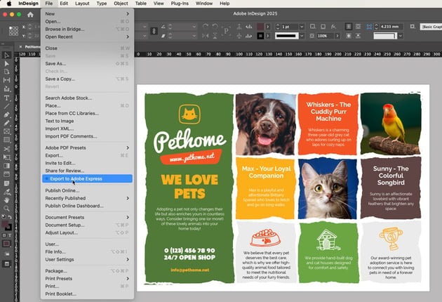 Adobe InDesign 2025